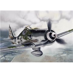 AVION CAZA FOCKE-WULF FW 190 D-9            