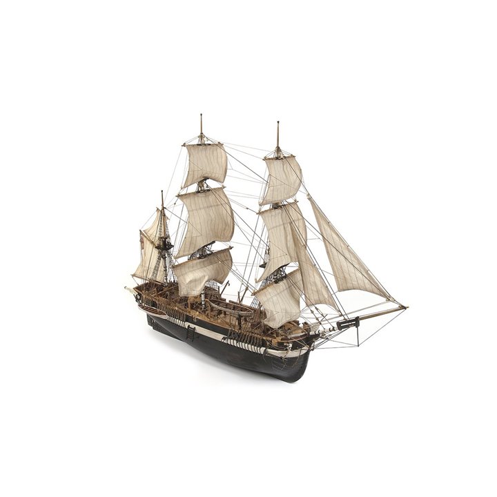 Barco HMS Terror con velas - OCCRE