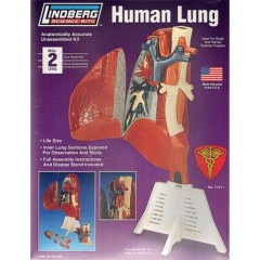 Kit para montar pulmon