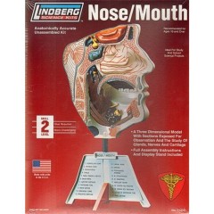 Kit para montar nariz y boca